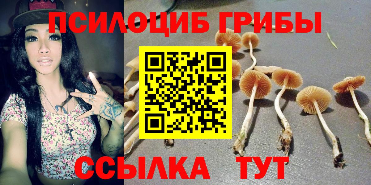 Псилоцибиновые грибы MAGIC MUSHROOMS  Вход с VPN  Ижевск 